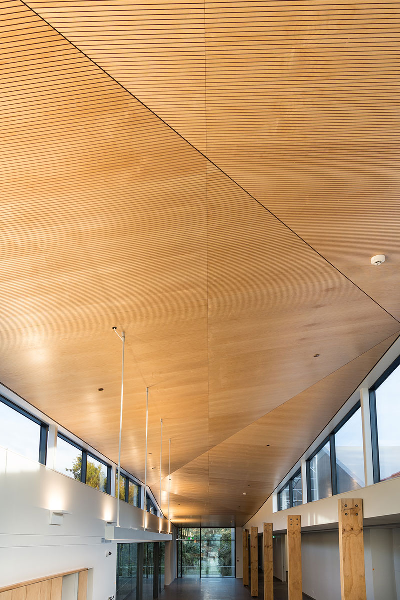 C&I-0055 Wooden_Ceiling_Portrait