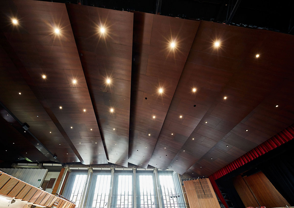 ChristCollege_Ceiling