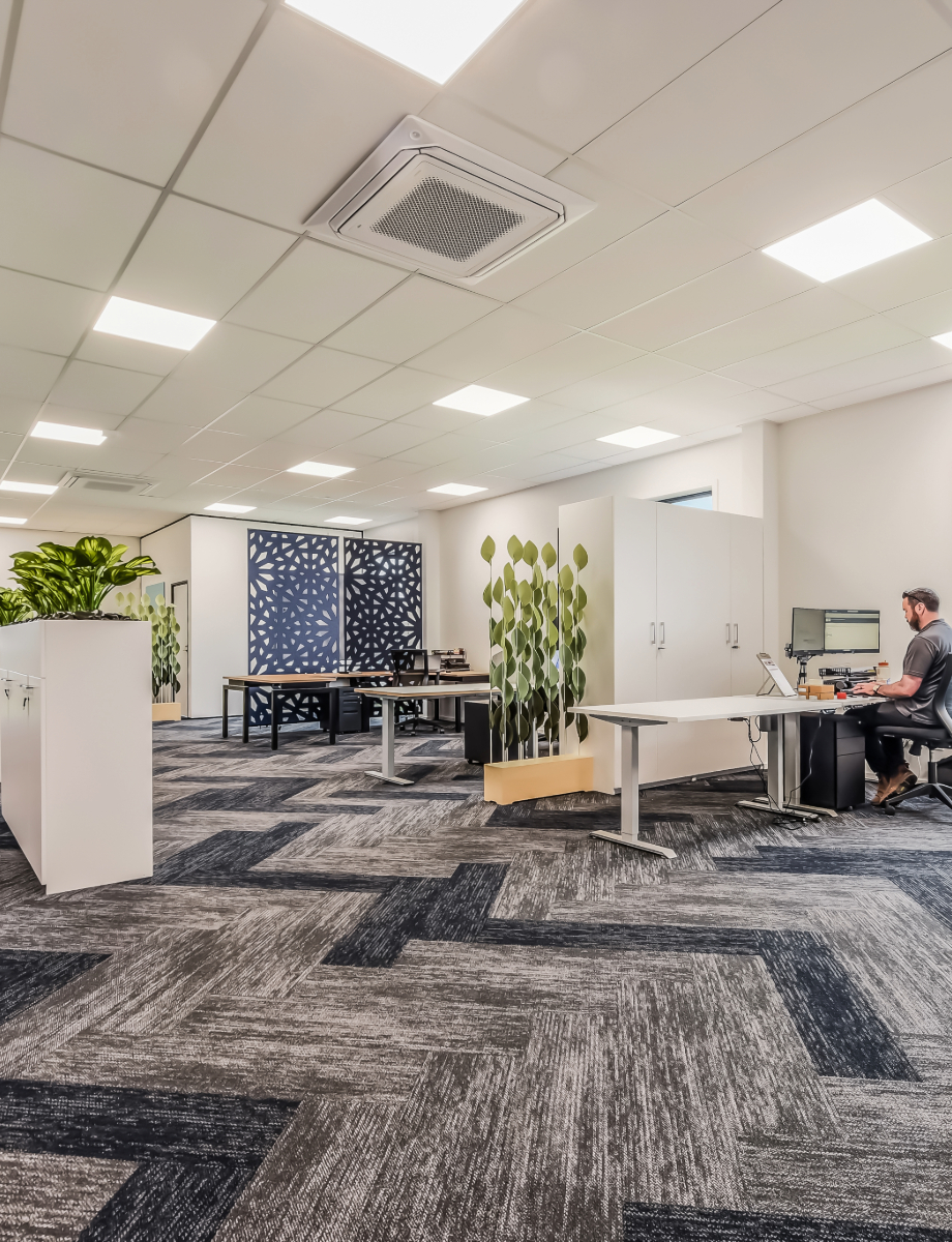 Modern open-plan office with grey patterned carpet tiles, partition screens, indoor plants, and ergonomic workstations, showcasing commercial office fit out in NZ